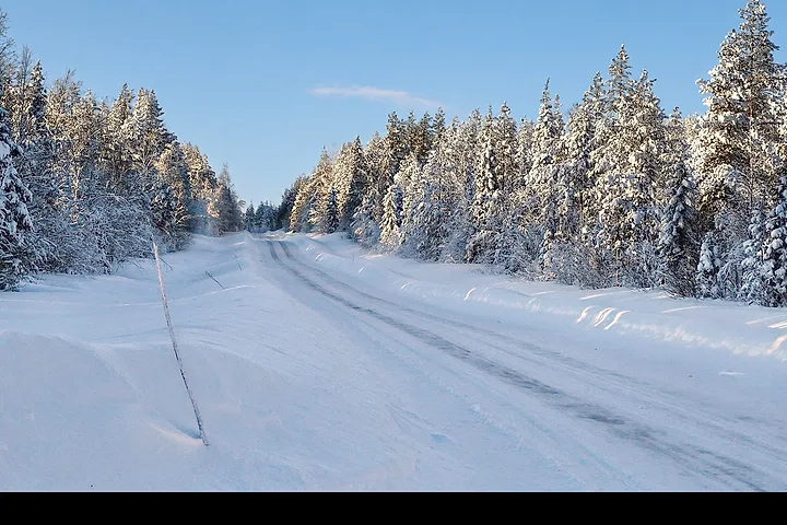 Snötäckt landsväg genom en granskog med snö på träden